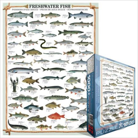 Puzzle: Sladkovodní ryby (EuroGraphics). EuroGraphics, 2014 Puzzle: Sladkovodní ryby (EuroGraphics). EuroGraphics, 2014