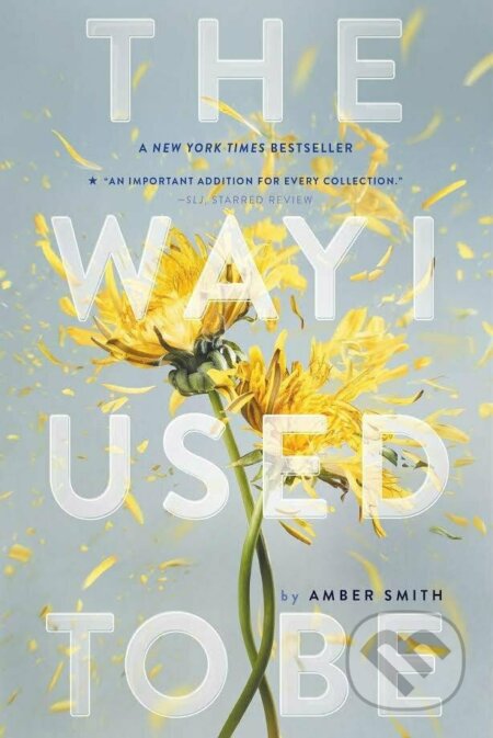 Kniha: The Way I Used to Be (Amber Smith). Oneworld Publications, 2023 Kniha: The Way I Used to Be (Amber Smith). Oneworld Publications, 2023