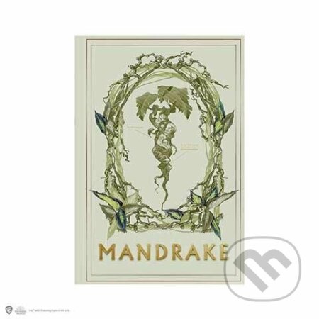 Harry Potter zápisník A5 - Mandragora (Distrineo). Distrineo, 2023 Harry Potter zápisník A5 - Mandragora (Distrineo). Distrineo, 2023