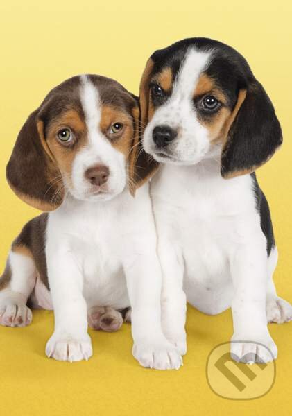 Nice beagles, Clementoni, 2014