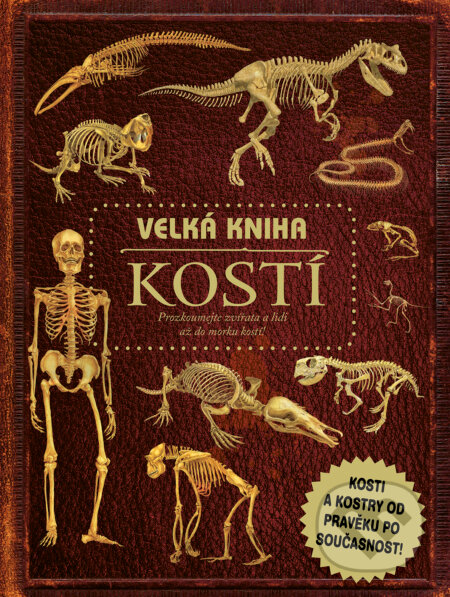 Kniha: Velká kniha kostí (Autorský kolektiv). Drobek, 2023 Kniha: Velká kniha kostí (Autorský kolektiv). Drobek, 2023