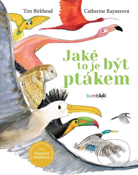 Kniha: Jaké to je být ptákem (Catherine Rayner a Tim Birkhead). Bambook, 2023 Kniha: Jaké to je být ptákem (Catherine Rayner a Tim Birkhead). Bambook, 2023