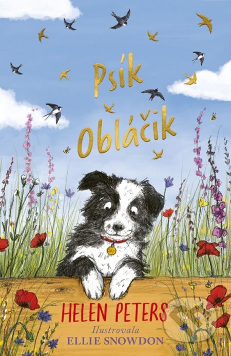 Kniha: Psík Obláčik (Helen Peters). Stonožka, 2023 Kniha: Psík Obláčik (Helen Peters). Stonožka, 2023