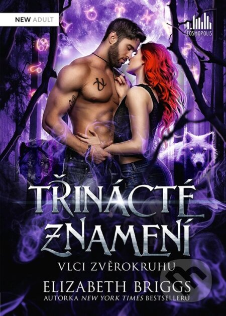 Kniha: Třinácté znamení (Elizabeth Briggs), 2023 Kniha: Třinácté znamení (Elizabeth Briggs), 2023