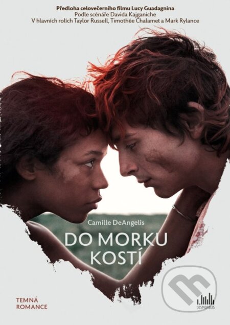 Kniha: Do morku kostí (Camille DeAngelis). Cosmopolis, 2023 Kniha: Do morku kostí (Camille DeAngelis). Cosmopolis, 2023