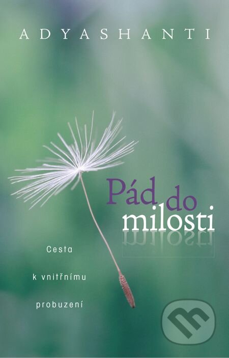 E-kniha: Pád do milosti (Adyashanti). Synergie, 2014 E-kniha: Pád do milosti (Adyashanti). Synergie, 2014
