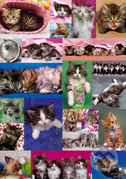 Kittens Collage, Educa, 2014