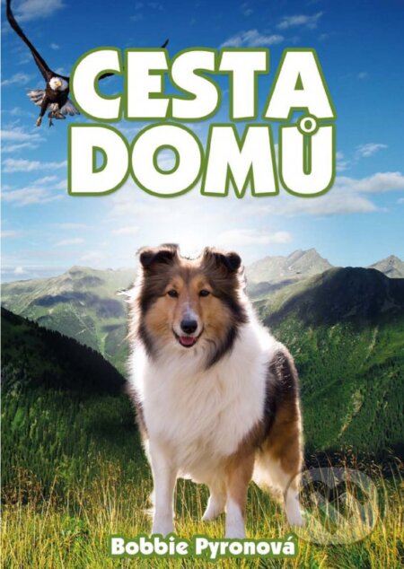 Kniha: Cesta domů (Bobbie Pyron). CPRESS, 2014 Kniha: Cesta domů (Bobbie Pyron). CPRESS, 2014