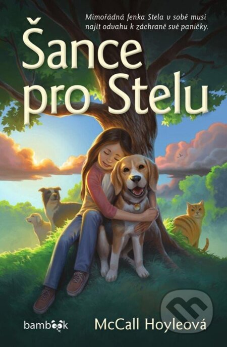 Kniha: Šance pro Stelu (McCall Hoyle). Bambook, 2023 Kniha: Šance pro Stelu (McCall Hoyle). Bambook, 2023