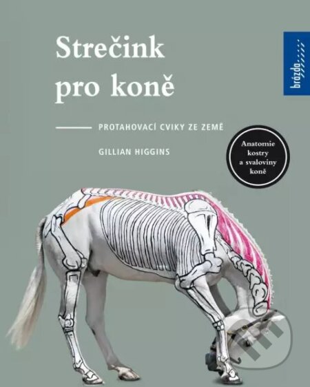 Kniha: Strečink pro koně (Gillian Higgins). Brázda, 2023 Kniha: Strečink pro koně (Gillian Higgins). Brázda, 2023