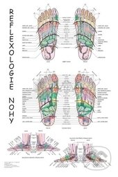 Reflexologie nohy (mapa) (Radomír Růžička). Poznání Reflexologie nohy (mapa) (Radomír Růžička). Poznání