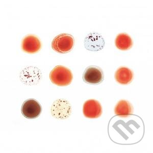 Hudební CD: Peter Gabriel: Scratch My Back (Bertus). Bertus Hudební CD: Peter Gabriel: Scratch My Back (Bertus). Bertus