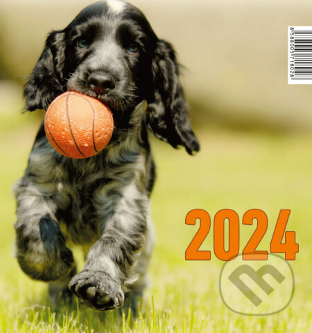 Psík 2024 (Form Servis). Form Servis, 2023 Psík 2024 (Form Servis). Form Servis, 2023