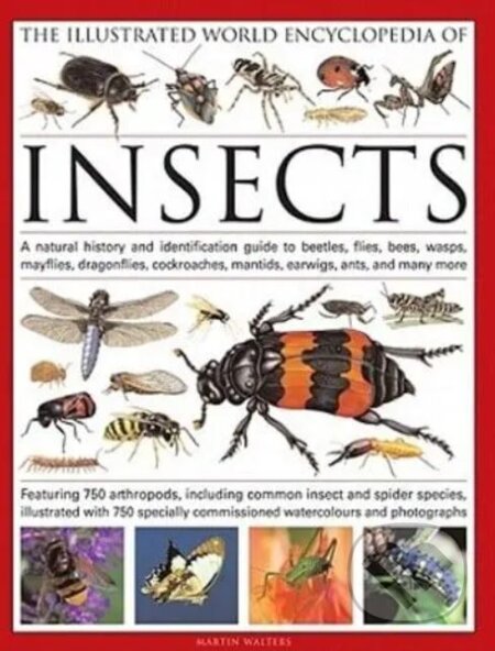 The Illustrated World Encyclopedia of Insects - Martin Walters, Lorenz books, 2010