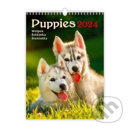 Kalendář nástěnný 2024 - Puppies/Welpen/Štěňátka/Šteniatka, Helma365, 2023