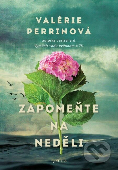 Kniha: Zapomeňte na neděli (Valérie Perrin). Jota, 2023 Kniha: Zapomeňte na neděli (Valérie Perrin). Jota, 2023