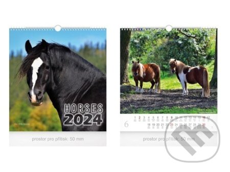 Kalendář nástěnný malý - Horses 2024, MFP, 2023