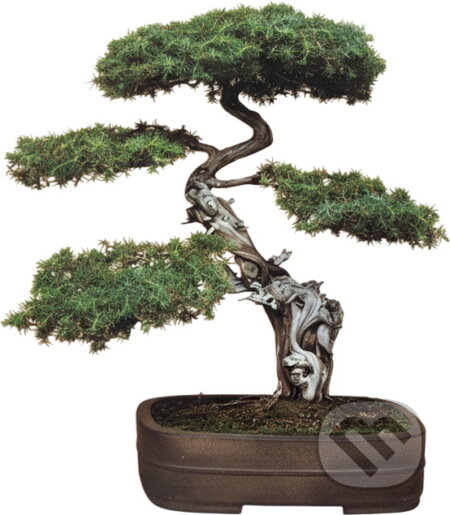 Kniha: Bonsai (Christine Stewart a Jan Tykač). , 1987 Kniha: Bonsai (Christine Stewart a Jan Tykač). , 1987