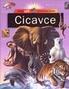 Kniha: Encyklopédia školáka - Cicavce (Autorský kolektív). Slovart Kniha: Encyklopédia školáka - Cicavce (Autorský kolektív). Slovart