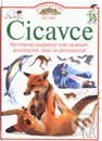 Kniha: Cicavce - Zvedavými očami (David Burnie). Slovart Kniha: Cicavce - Zvedavými očami (David Burnie). Slovart