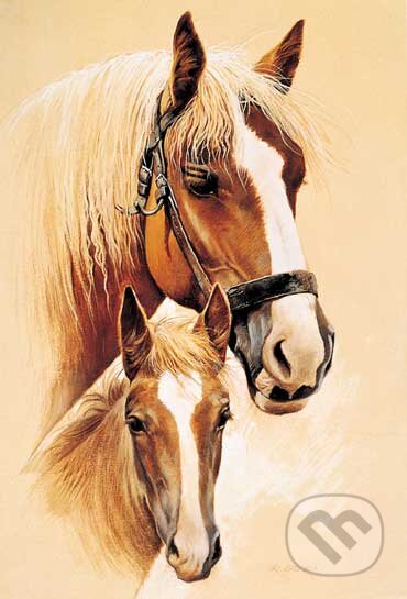 Puzzle: Kone (Schmidt). Schmidt Puzzle: Kone (Schmidt). Schmidt