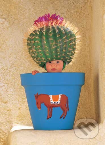 Dieťa - kaktus - Anne Geddes, Schmidt