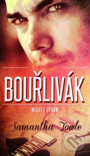 Kniha: Bouřlivák (Samantha Towle). Baronet, 2015 Kniha: Bouřlivák (Samantha Towle). Baronet, 2015