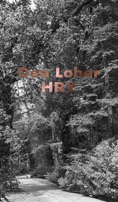 Kniha: Hry (Dea Loher). Divadelný ústav, 2015 Kniha: Hry (Dea Loher). Divadelný ústav, 2015
