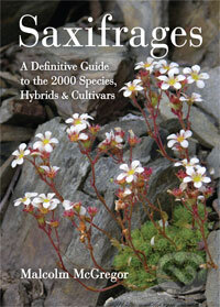 Kniha: Saxifrages (Malcolm McGregor). Timber, 2008 Kniha: Saxifrages (Malcolm McGregor). Timber, 2008