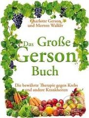 Kniha: Das Große Gerson Buch (Charlotte Gerson). Mobiwell, 2012 Kniha: Das Große Gerson Buch (Charlotte Gerson). Mobiwell, 2012