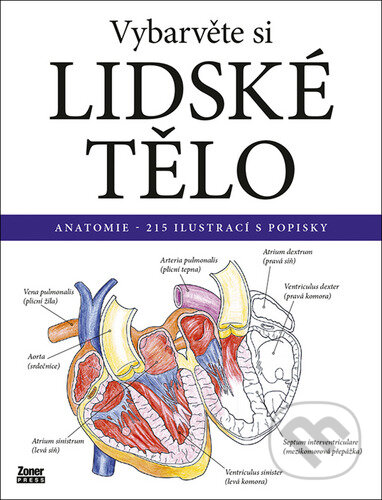 Kniha: Vybarvěte si lidské tělo (Zoner Press). Zoner Press, 2023 Kniha: Vybarvěte si lidské tělo (Zoner Press). Zoner Press, 2023