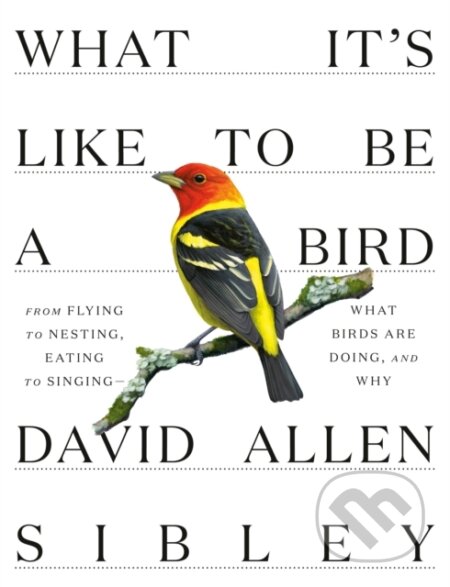 Kniha: What It's Like to be a Bird (David Allen Sibley). Albert Knopf, 2020 Kniha: What It's Like to be a Bird (David Allen Sibley). Albert Knopf, 2020