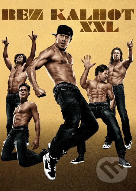 Film: Bez kalhot XXL (Gregory Jacobs) (DVD). Magicbox, 2015 Film: Bez kalhot XXL (Gregory Jacobs) (DVD). Magicbox, 2015