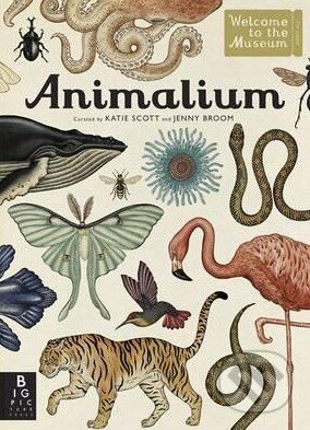 Kniha: Animalium (Jenny Broom). Templar, 2014 Kniha: Animalium (Jenny Broom). Templar, 2014