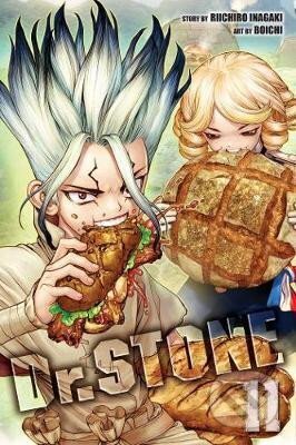 Kniha: Dr. Stone 11 (Riichiro Inagaki). Viz Media, 2020 Kniha: Dr. Stone 11 (Riichiro Inagaki). Viz Media, 2020