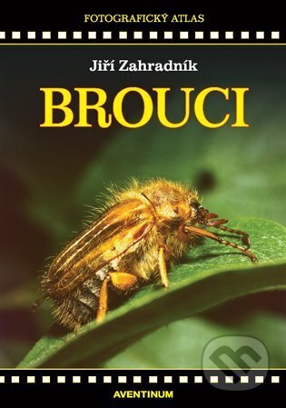 Kniha: Brouci (Jiří Zahradník). Aventinum, 2023 Kniha: Brouci (Jiří Zahradník). Aventinum, 2023