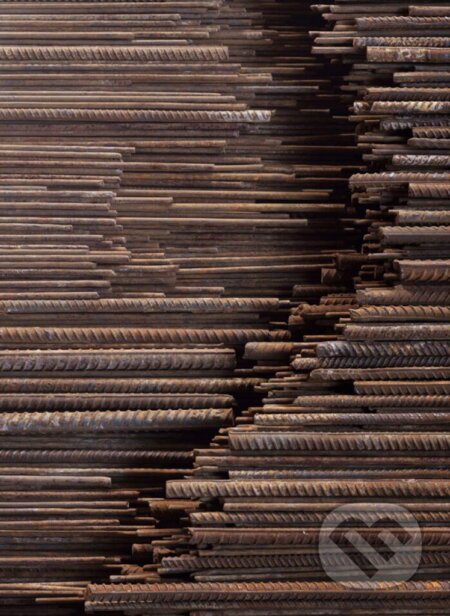 Kniha: Ai Weiwei (Hans Werner Holzwarth). Taschen, 2016 Kniha: Ai Weiwei (Hans Werner Holzwarth). Taschen, 2016