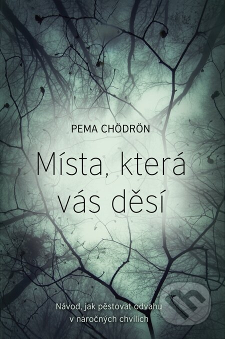 E-kniha: Místa, která vás děsí (Pema Chödrön). Synergie, 2015 E-kniha: Místa, která vás děsí (Pema Chödrön). Synergie, 2015