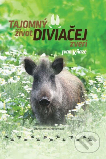 Kniha: Tajomný život diviačej zveri (Ivan Kňaze). Vydavateľstvo Matice slovenskej, 2023 Kniha: Tajomný život diviačej zveri (Ivan Kňaze). Vydavateľstvo Matice slovenskej, 2023