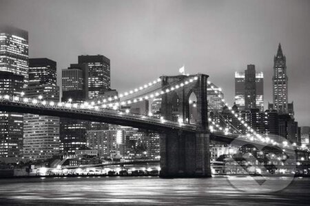 Puzzle: New York (Clementoni). Clementoni, 2016 Puzzle: New York (Clementoni). Clementoni, 2016