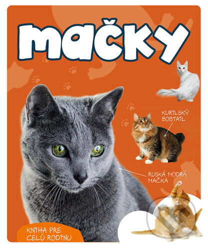 Kniha: Mačky (Marcin Jan Gorazdowski). Bookmedia, 2023 Kniha: Mačky (Marcin Jan Gorazdowski). Bookmedia, 2023