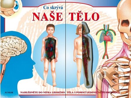 Kniha: Co skrývá naše tělo (Nakladatelství Junior). Nakladatelství Junior, 2016 Kniha: Co skrývá naše tělo (Nakladatelství Junior). Nakladatelství Junior, 2016