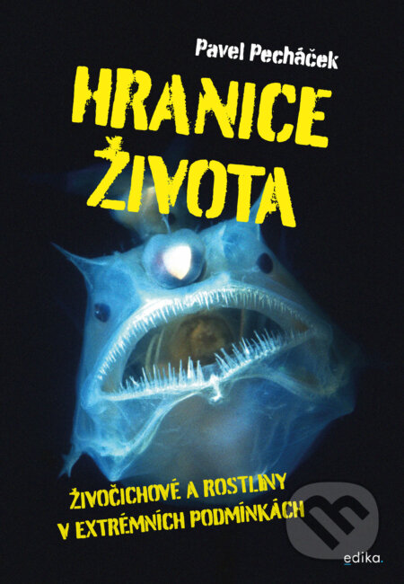 E-kniha: Hranice života (Pavel Pecháček). Edika, 2023 E-kniha: Hranice života (Pavel Pecháček). Edika, 2023