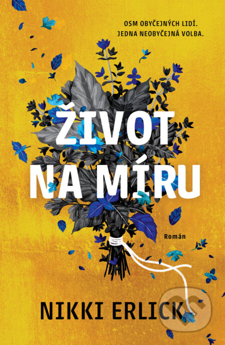 Kniha: Život na míru (Nikki Erlick). Fobos, 2024 Kniha: Život na míru (Nikki Erlick). Fobos, 2024