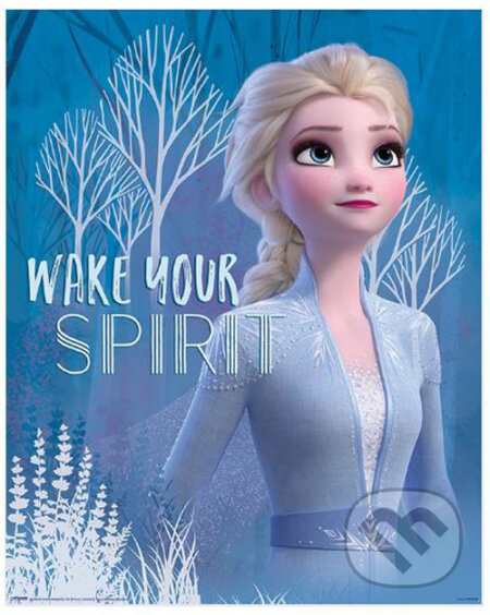 Plagát Frozen II: Wake Your Spirit Elsa, , 2019