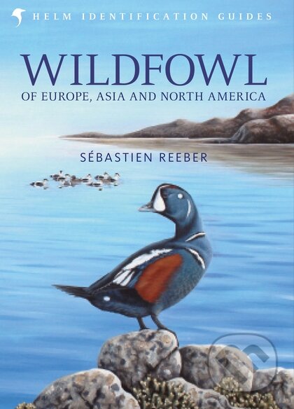 Kniha: Wildfowl of Europe, Asia and North America (Sebastien Reeber). Christopher Helm, 2015 Kniha: Wildfowl of Europe, Asia and North America (Sebastien Reeber). Christopher Helm, 2015
