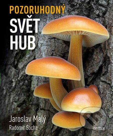 Kniha: Pozoruhodný svět hub (Jaroslav Malý a Radomír Socha). Knižní klub, 2016 Kniha: Pozoruhodný svět hub (Jaroslav Malý a Radomír Socha). Knižní klub, 2016