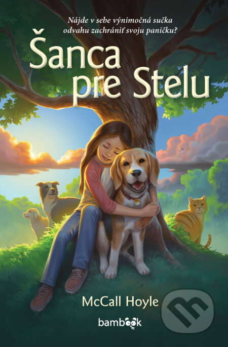 Kniha: Šanca pre Stelu (McCall Hoyle). Bambook, 2024 Kniha: Šanca pre Stelu (McCall Hoyle). Bambook, 2024