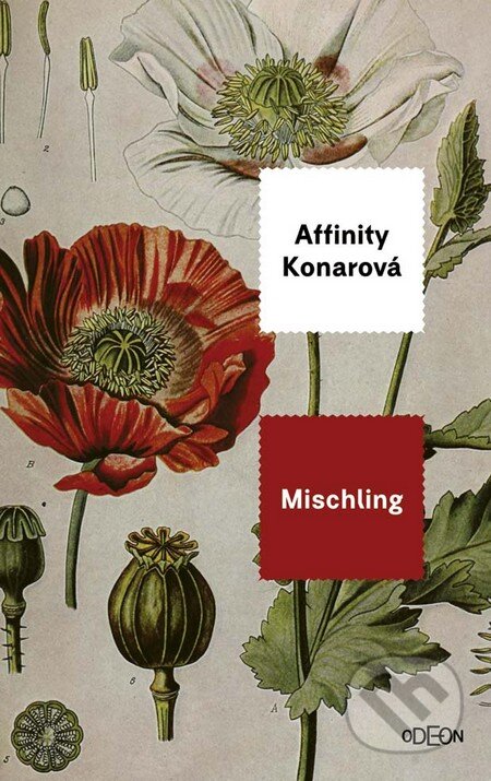 Kniha: Mischling (Affinity Konar). Odeon, 2016 Kniha: Mischling (Affinity Konar). Odeon, 2016