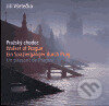 Kniha: Pražský chodec (Jiří Všetečka). ART D, 2005 Kniha: Pražský chodec (Jiří Všetečka). ART D, 2005